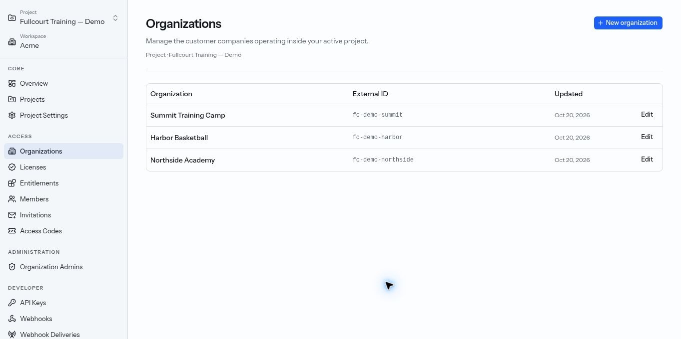 BusinessMode organizations showing company customers managed from one demo workspace.